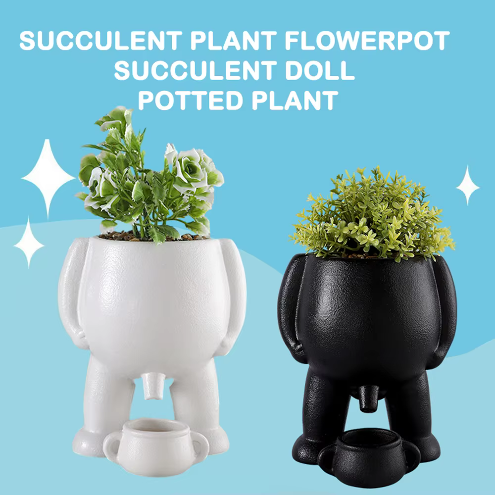 Best Indoor Plants for Clean Air and a Healthy Home