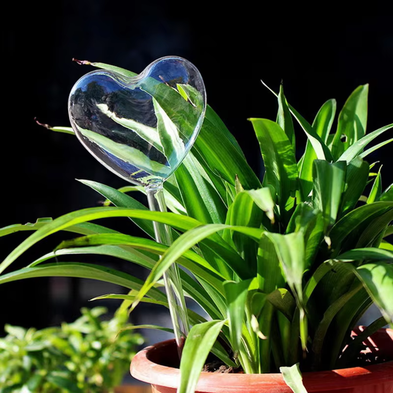 Best Soil Amendments for Popular Houseplants